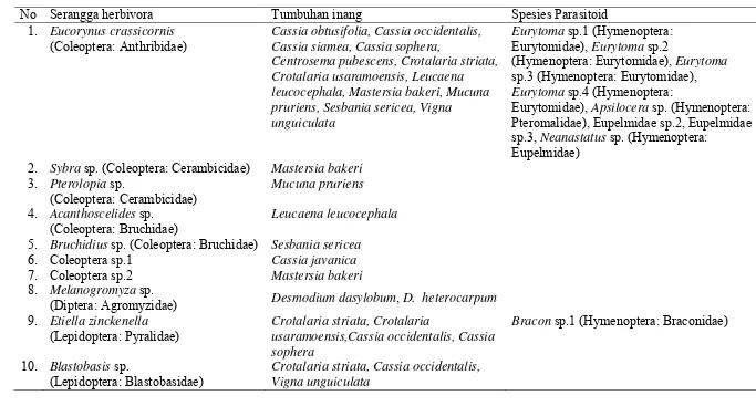 Tabel 3.1  Berbagai jenis serangga herbivora penggerek polong dan parasitoidnya yang ditemukan pada berbagai jenis legum 