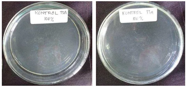 Gambar 2  Jumlah bakteri endofit hasil isolasi dari tanaman Nilam B6, Nilam           Sidikalang, dan Nilam Patchoulina 