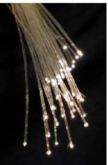 Figure 2.2: Optical Fibers
