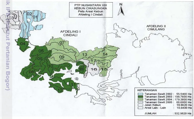 Gambar 2  Peta persebaran blok di perkebunan kelapa sawit PTPN VIII afdeling I 