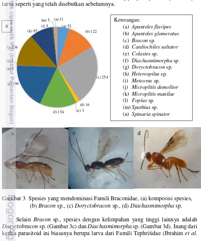 Gambar 3  Spesies yang mendominasi Famili Braconidae, (a) komposisi spesies, 