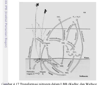 Gambar 4.17 Transformasi nitrogen dalam LBB (Kadlec dan Wallace 2009) 