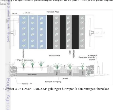 Gambar 4.22 Desain LBB-AAP gabungan hidroponik dan emergent bersekat 