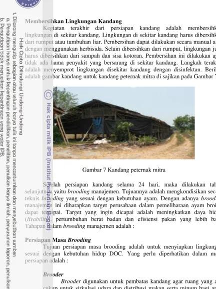 Gambar 7 Kandang peternak mitra 