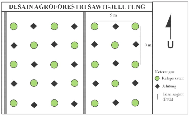 Gambar 2  Desain agroforestri sawit-jelutung. 