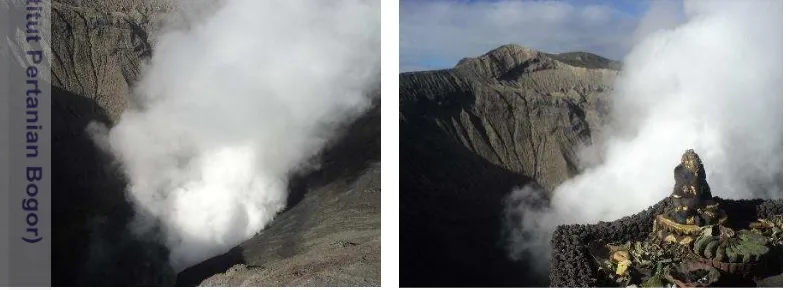 Gambar 4  Kawah Gunung Bromo 