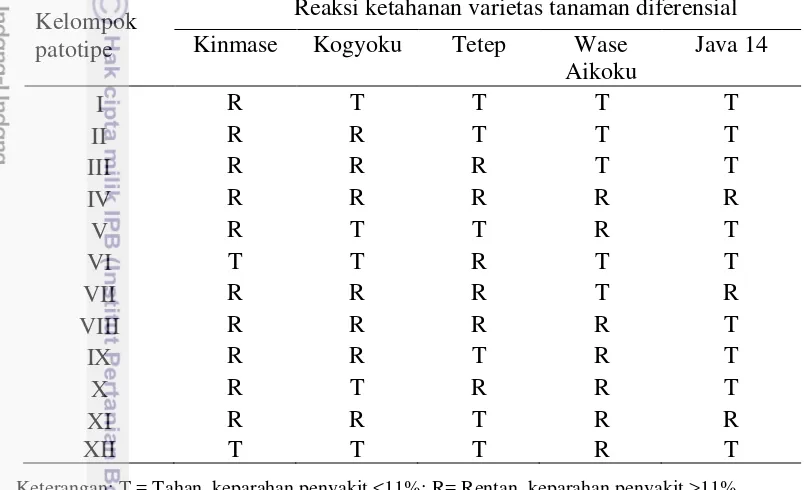 Tabel 1  Acuan pengelompokan patotipe X. oryzae pv. oryzae berdasarkan respon 