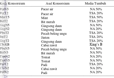 Tabel 2 Tujuh belas konsorsium bakteri endofit asal berbagai tanaman yang aman sebagai kandidat agens hayati 