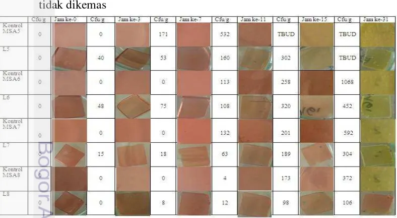 Tabel 4 Perubahan warna label MSA terhadap pertumbuhan S. aureus pada label 