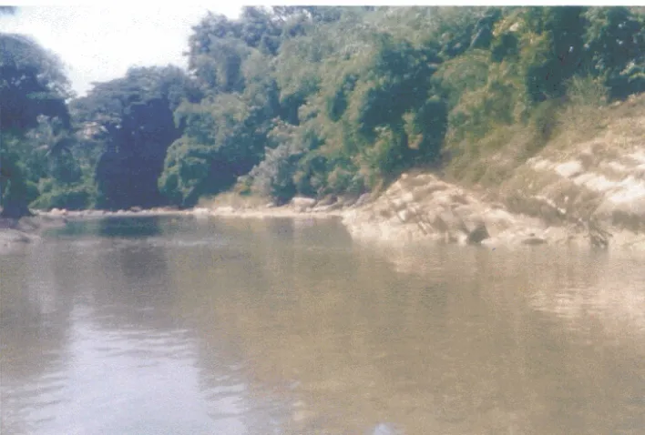 Gambar 4. Lokasi pengambilan contoh di sungai Ciwung stasiun I1 