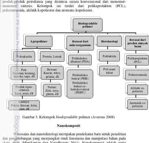 Gambar 3. Kelompok biodegradable polimer (Averous 2008) 