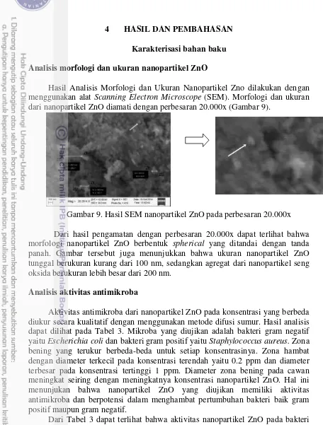Gambar 9. Hasil SEM nanopartikel ZnO pada perbesaran 20.000x 
