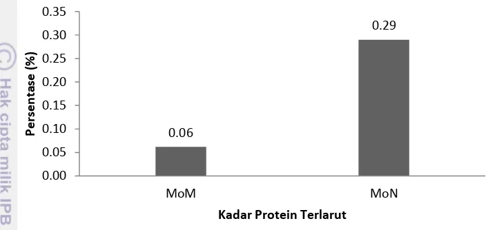 Gambar 12 Kadar protein terlarut serbuk biji moringa MoM dan MoN. 