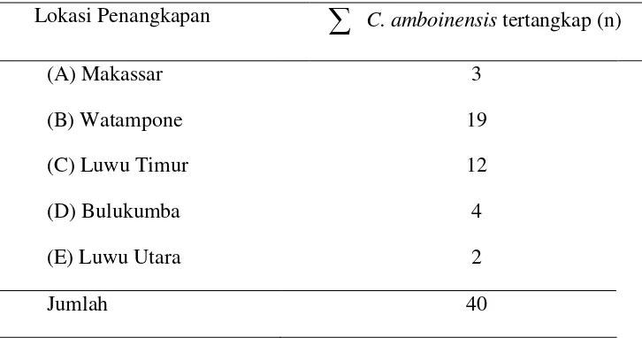 Tabel 1 Lokasi penangkapan dan jumlah C. amboinensis yang tertangkap. 