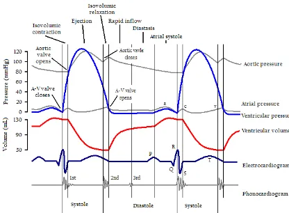 Gambar 1. Gambar Hubungan Suara Jantung dan Siklus Jantung [1]. 
