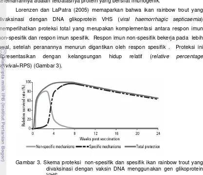 Gambar 3. Skema proteksi  non-spesifik dan spesifik ikan rainbow trout yang 