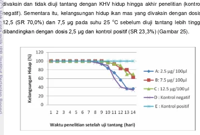 Gambar 25. Grafik kelangsungan hidup ikan setelah diuji tantang dengan virus KHV 