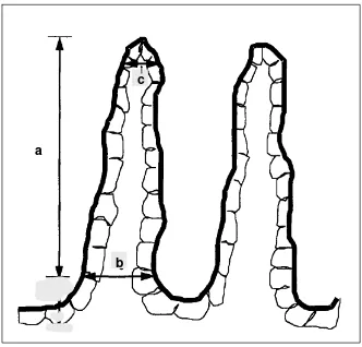 Gambar 9  Ilustrasi bagian vili usus yang diukur, yaitu tinggi vili (a), lebar basal vili (b), dan lebar apikal vili (c) (Sumber: Iji et al