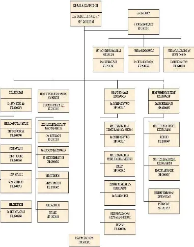 Gambar 2.1 Struktur Organisasi KANREG III BKN Bandung. 
