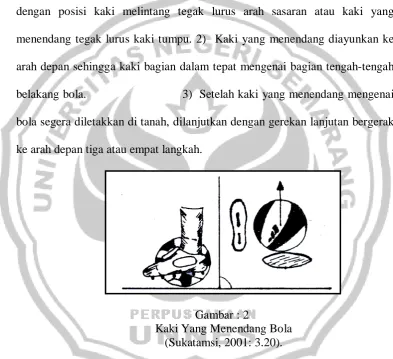 Gambar : 2   Kaki Yang Menendang Bola 