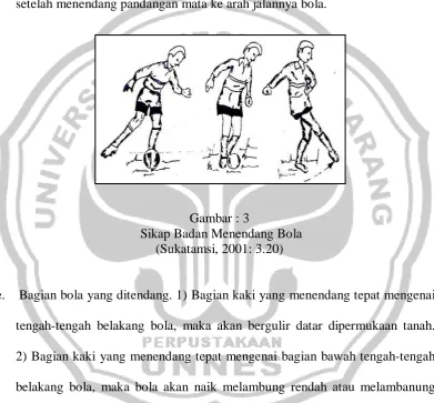 Gambar : 3 Sikap Badan Menendang Bola  