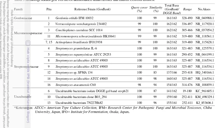 Tabel 5 Homologi sekuen gen 16S rRNA aktinobakteri tanah rizosfer dan endofit Centella asiatica