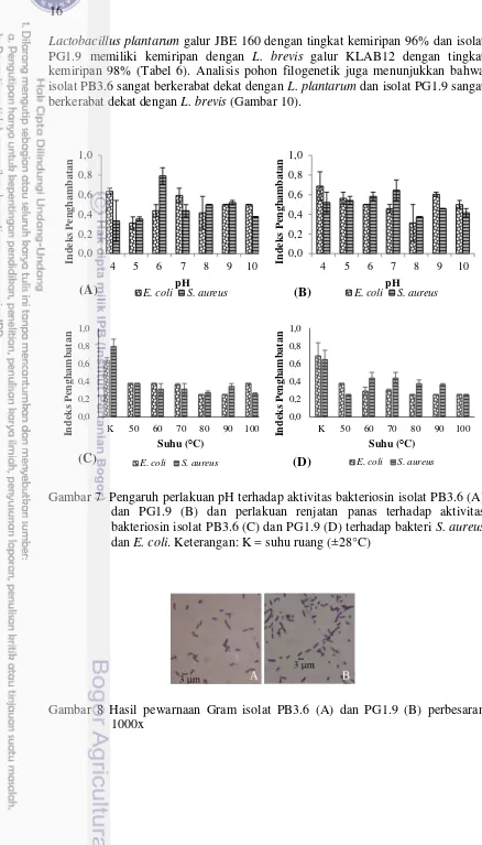 Gambar 7  Pengaruh perlakuan pH terhadap aktivitas bakteriosin isolat PB3.6 (A) 