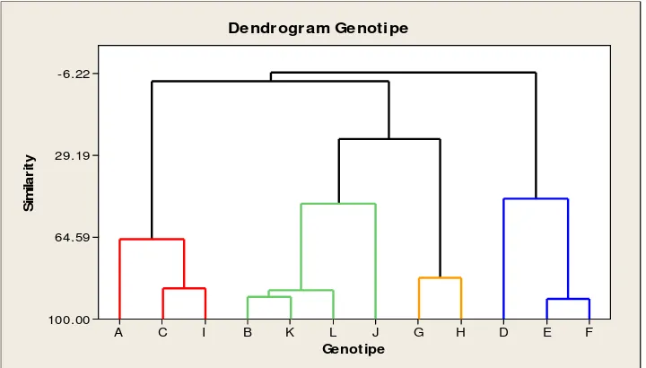 Gambar 3 Dendrogram Genotipe Berdasarkan Karakteristik Kadar Air Panen,  