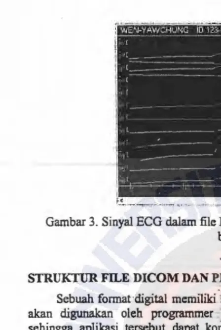 Gambar 4. Struktur file DICOM 