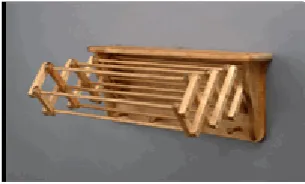 Figure 2.1.1: Wall Mounted Expandable Clothes Drying Rack 