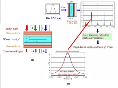 Gambar 8 (a) Diagram elemen sensing yang telah diajukan  (b) Set-up proses sinyal dan sensitivitas sensor absorbsi struktur nano yang diprediksikan dan digunakan untuk menguji air (M
