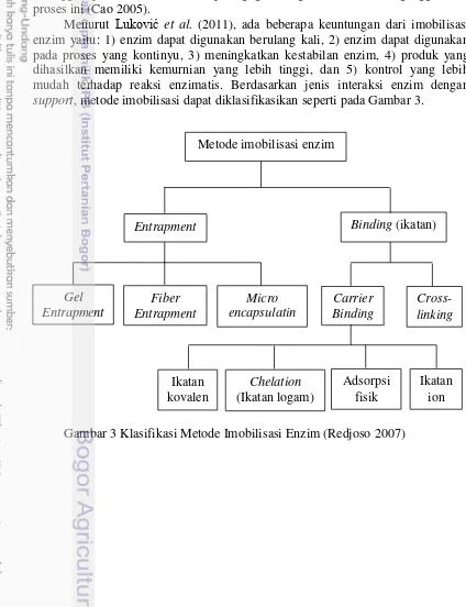 Gambar 3 Klasifikasi Metode Imobilisasi Enzim (Redjoso 2007) 