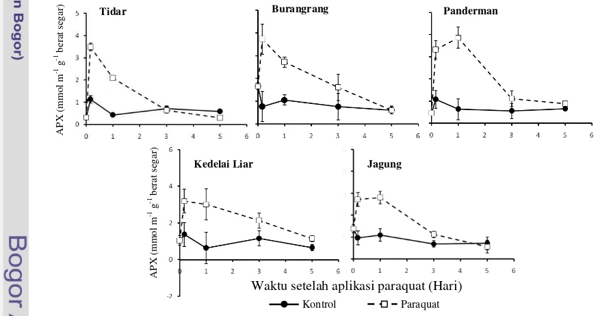 Gambar 13  Aktivitas APX pada perlakuan paraquat selama 5 hari -1-1 berat segar)  gAPX (mmol m