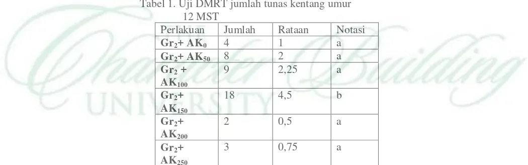 Tabel 1. Uji DMRT jumlah tunas kentang umur 