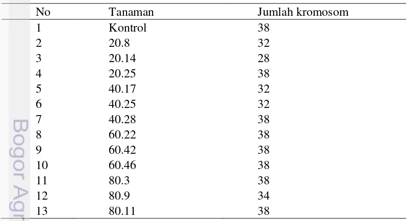 Tabel 5 Hasil pengamatan jumlah kromosom pada beberapa planlet anggrek D. lasianthera hasil iradiasi 