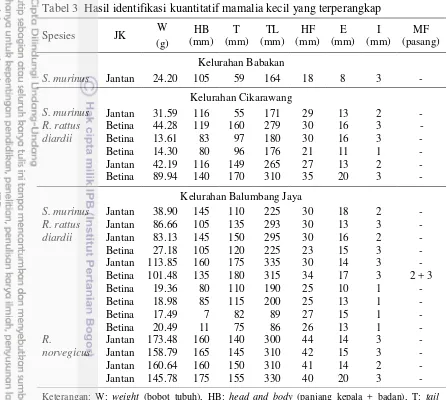 Tabel 3  Hasil identifikasi kuantitatif mamalia kecil yang terperangkap 