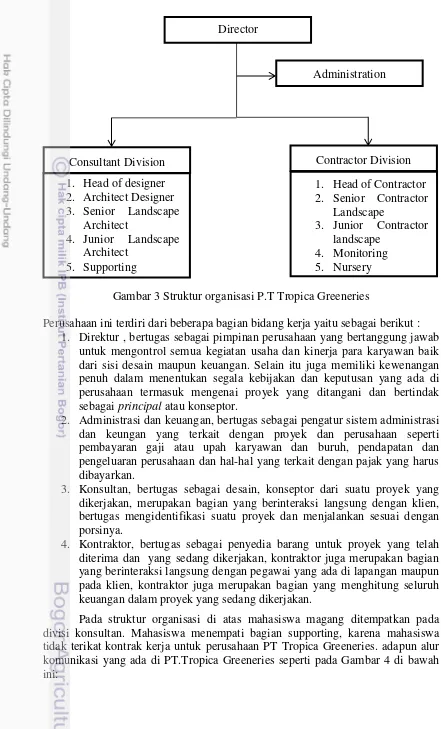 Gambar 3 Struktur organisasi P.T Tropica Greeneries 