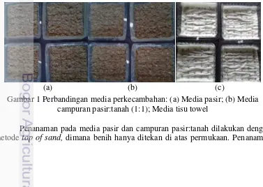 Gambar 1 Perbandingan media perkecambahan: (a) Media pasir; (b) Media 