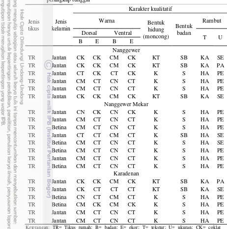 Tabel 5  Hasil identifikasi karakter kualitatif tikus hasil pemerangkapan dengan perangkap tunggal 