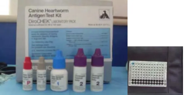 Gambar 6 DiroCHEK® Canine Heartworm Antigen Test Kit (Synbiotics Corporation, San Diego, CA) 