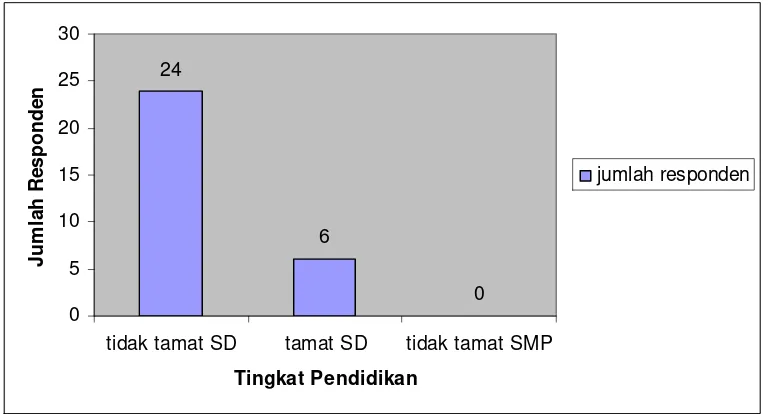 Gambar 5. Tingkat pendidikan responden di Muara Angke (Olahan Hasil Survei) 