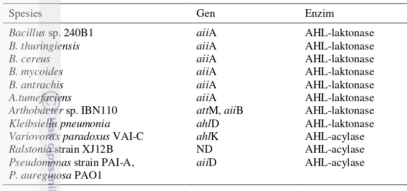 Tabel 2  Beberapa bakteri penghasil AHL-laktonase dan gen penyandinya 