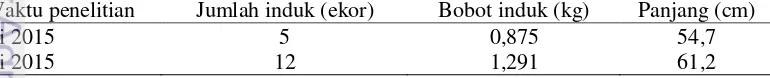 Tabel 5  Jumlah dan ukuran induk ikan lele Sangkuriang betina yang digunakan pada penelitian Tahap II 