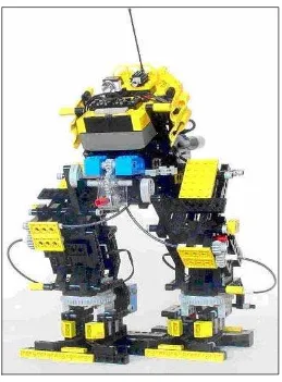 Figure 2.2: Preamble robot 