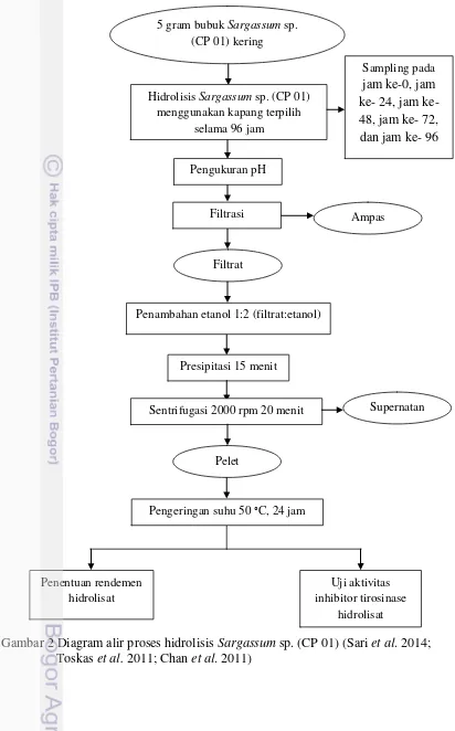 Gambar 2 Diagram alir proses hidrolisis Sargassum sp. (CP 01) (Sari et al. 2014; 