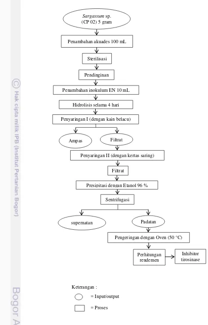 Gambar 1 Diagram alir hidrolisis cair (Obata et al. (2015)) 