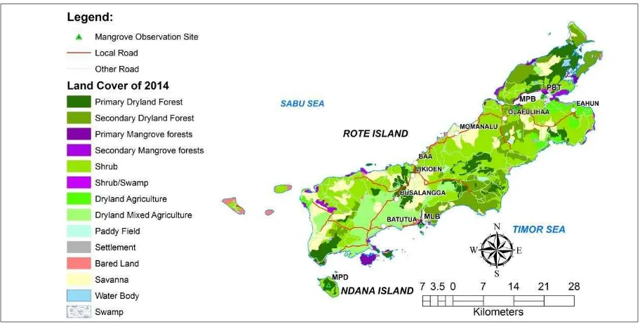 Table 2 Plant vegetation analysis results in the mangrove ecosystem on Rote and nDana islands 