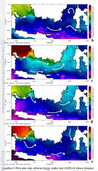 Gambar 6 Pola arus dan sebaran tinggi muka laut (SSH) di lokasi domain  