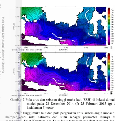 Gambar 7 Pola arus dan sebaran tinggi muka laut (SSH) di lokasi domain 
