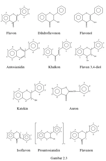 Gambar 2.3 Struktur dasar beberapa golongan senyawa flavonoid (Indradewi, 2011) 